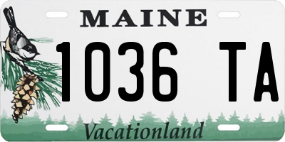 ME license plate 1036TA