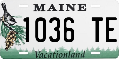 ME license plate 1036TE