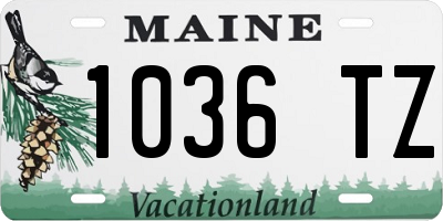 ME license plate 1036TZ