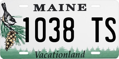 ME license plate 1038TS