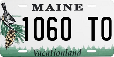 ME license plate 1060TO