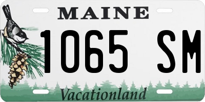 ME license plate 1065SM