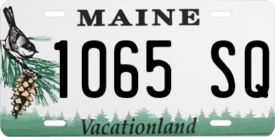 ME license plate 1065SQ