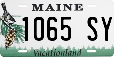 ME license plate 1065SY