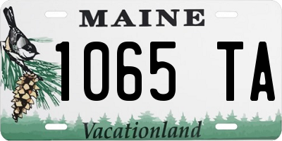 ME license plate 1065TA