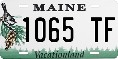 ME license plate 1065TF