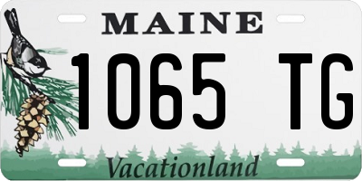 ME license plate 1065TG
