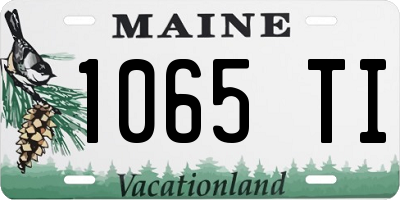 ME license plate 1065TI
