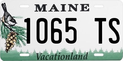 ME license plate 1065TS
