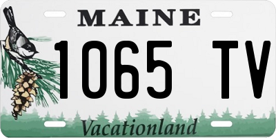 ME license plate 1065TV