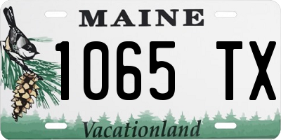 ME license plate 1065TX