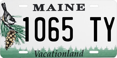 ME license plate 1065TY
