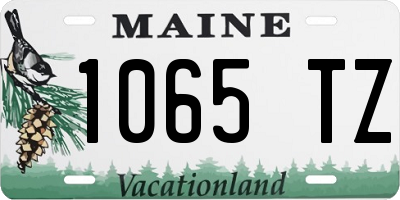 ME license plate 1065TZ