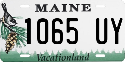 ME license plate 1065UY