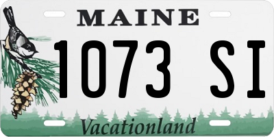 ME license plate 1073SI