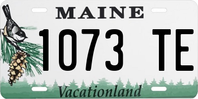 ME license plate 1073TE