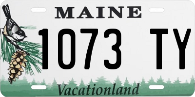 ME license plate 1073TY