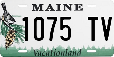 ME license plate 1075TV