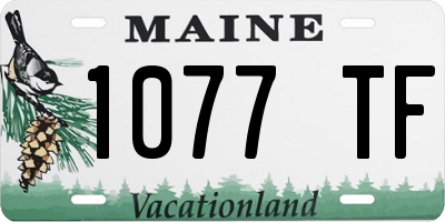 ME license plate 1077TF