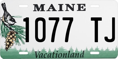 ME license plate 1077TJ