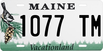 ME license plate 1077TM
