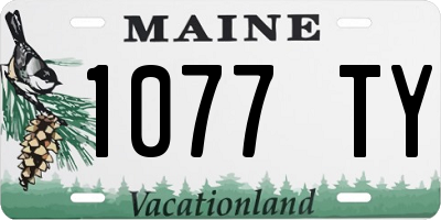 ME license plate 1077TY