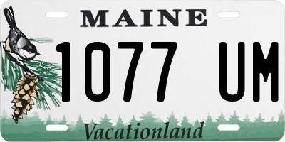 ME license plate 1077UM