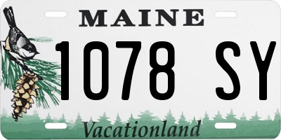 ME license plate 1078SY