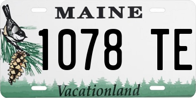 ME license plate 1078TE