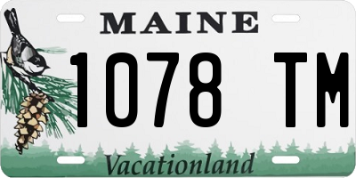 ME license plate 1078TM