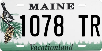 ME license plate 1078TR