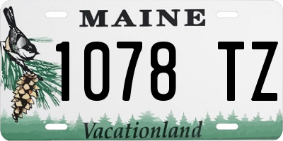 ME license plate 1078TZ