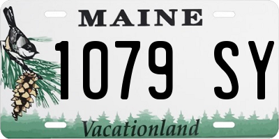 ME license plate 1079SY