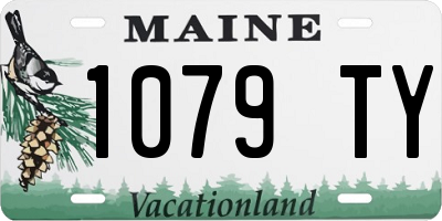 ME license plate 1079TY