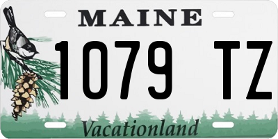 ME license plate 1079TZ