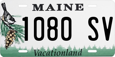 ME license plate 1080SV