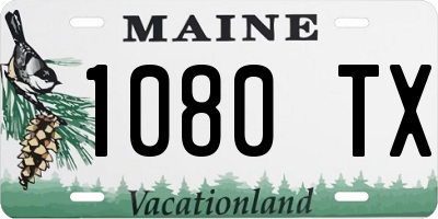 ME license plate 1080TX