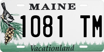 ME license plate 1081TM
