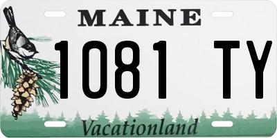 ME license plate 1081TY