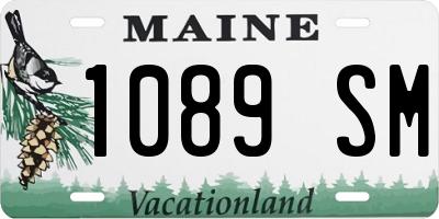 ME license plate 1089SM