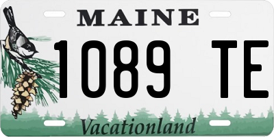 ME license plate 1089TE