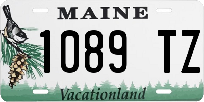 ME license plate 1089TZ