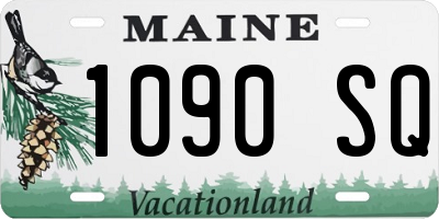 ME license plate 1090SQ