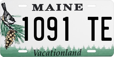 ME license plate 1091TE