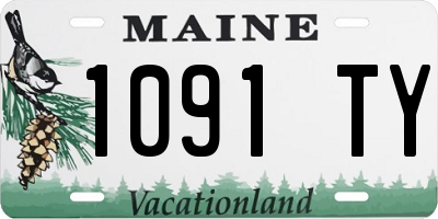 ME license plate 1091TY