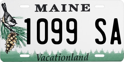 ME license plate 1099SA