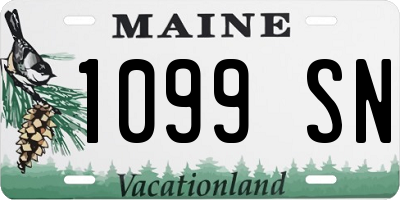 ME license plate 1099SN