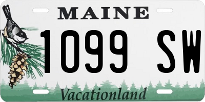 ME license plate 1099SW