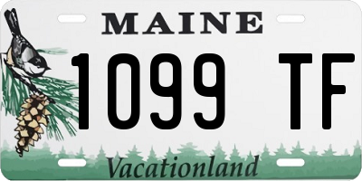 ME license plate 1099TF