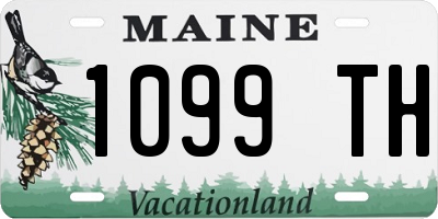 ME license plate 1099TH